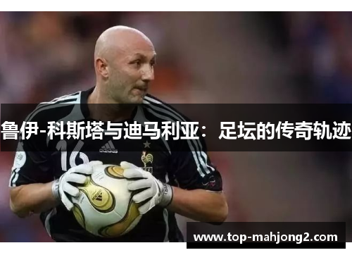 鲁伊-科斯塔与迪马利亚：足坛的传奇轨迹